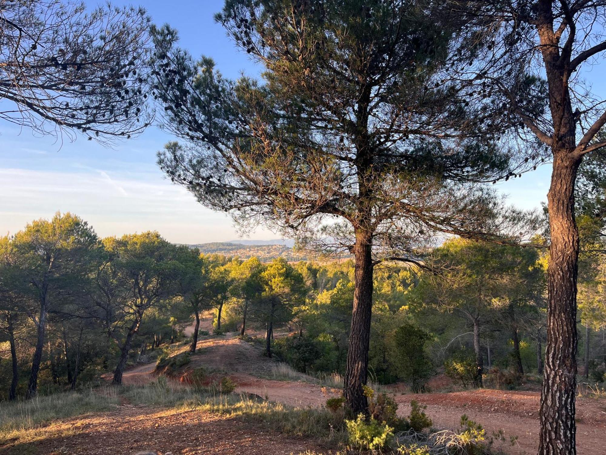 Maison Provencale Au Calme De La Campagne Avec Jacuzzi Aix-en-Provence Dış mekan fotoğraf